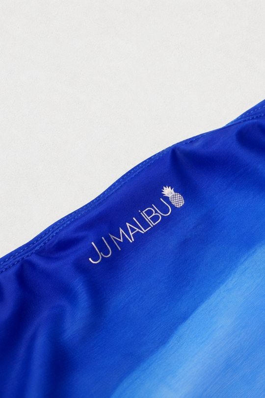 Renaissance Low-Cut Swim Bikini Briefs for Men - Blue to White